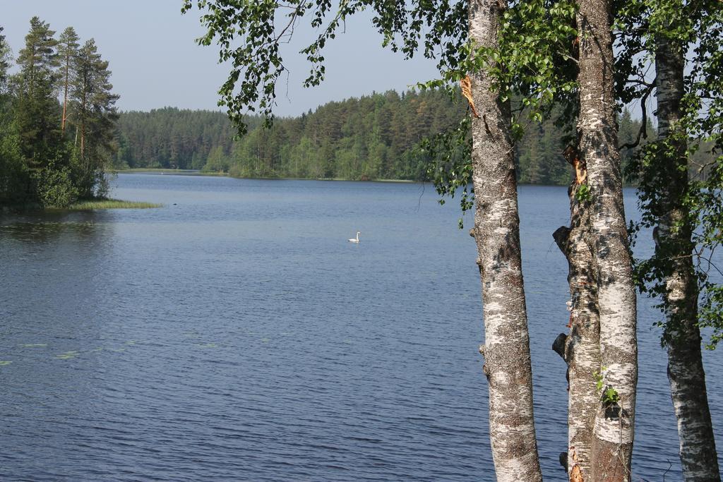 Antintuvan Lomamokit Kauhava Oda fotoğraf